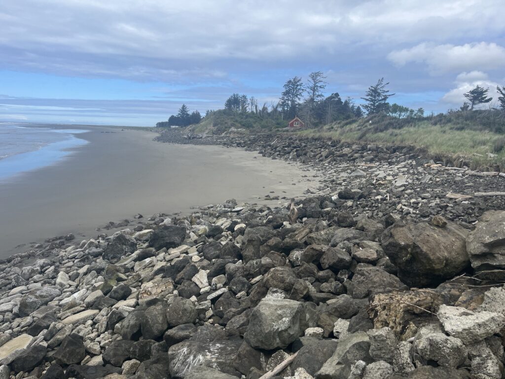 a rocky beach with trees and a hill in the background (MyCoast AI)