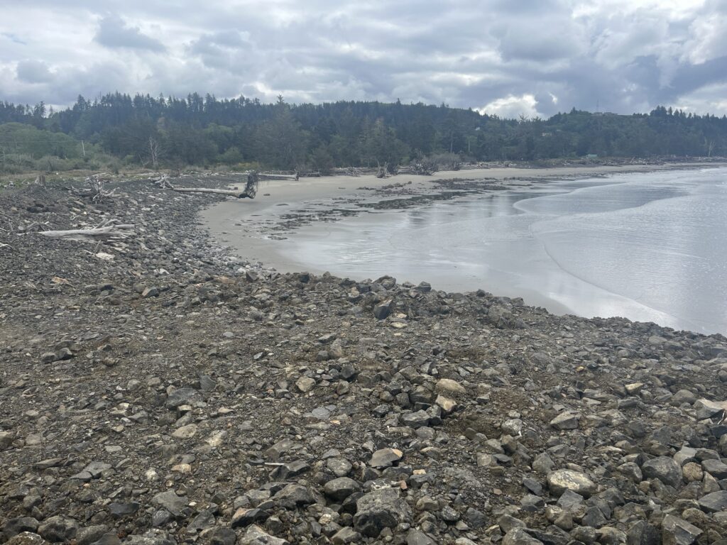 a rocky beach with trees in the background (MyCoast AI)