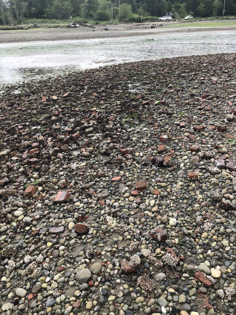 a rocky beach with a stream (MyCoast AI)