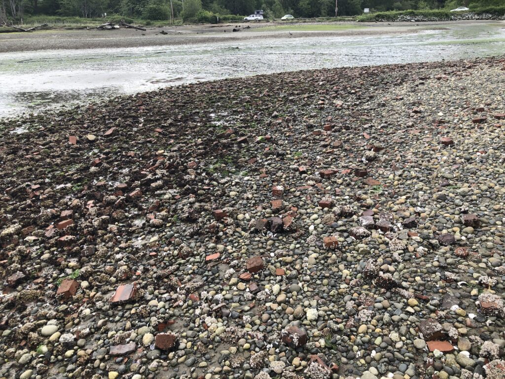 a rocky beach with a river (MyCoast AI)
