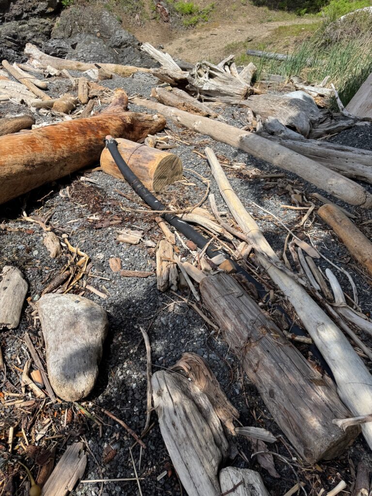 a pile of cut down trees (MyCoast AI)