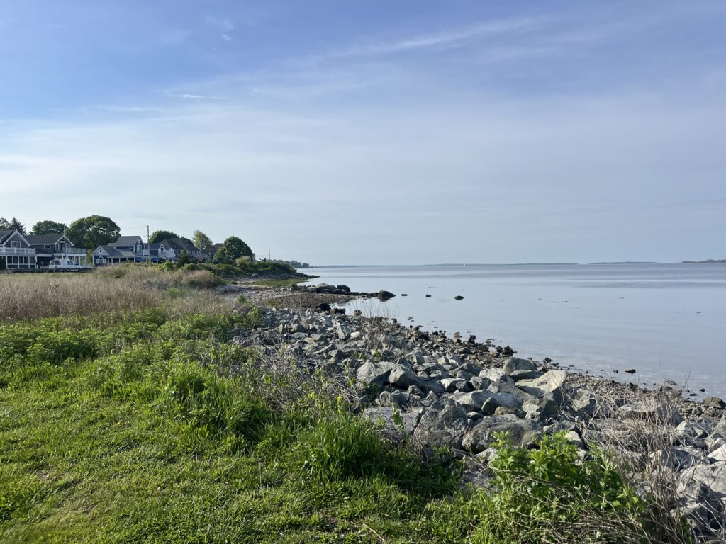 a rocky beach with houses and trees (MyCoast AI)