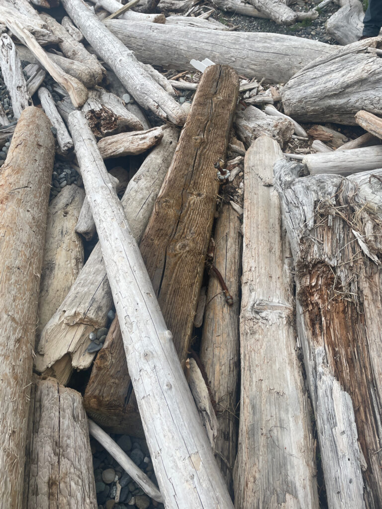 a group of logs (MyCoast AI)