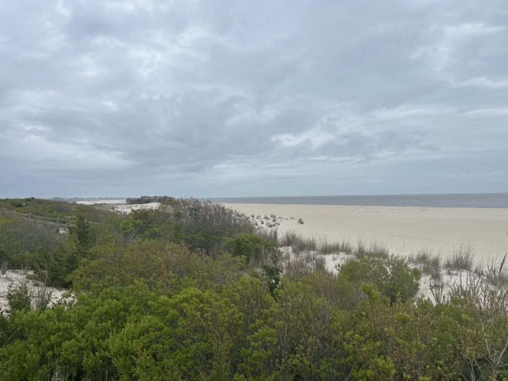 a landscape with trees and a body of water in the background (MyCoast AI)