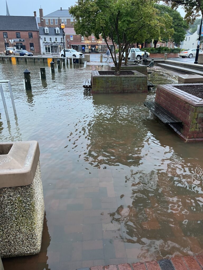 a flooded street with a tree (MyCoast AI)