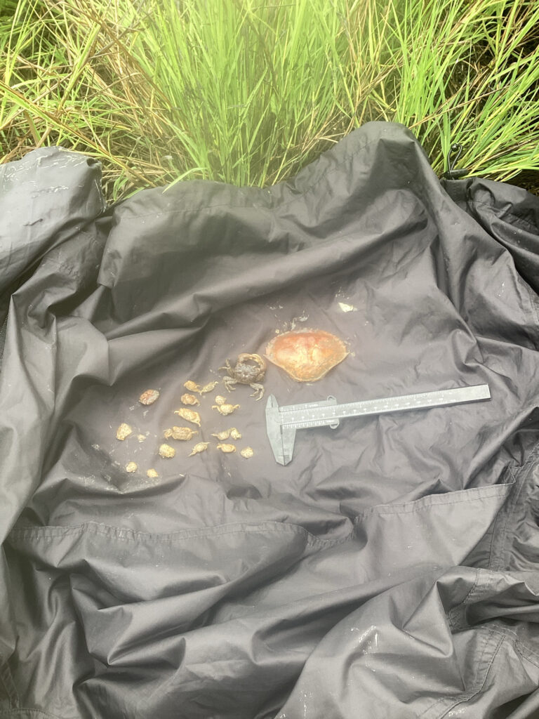 a knife and a bag of food on a blanket (MyCoast AI)