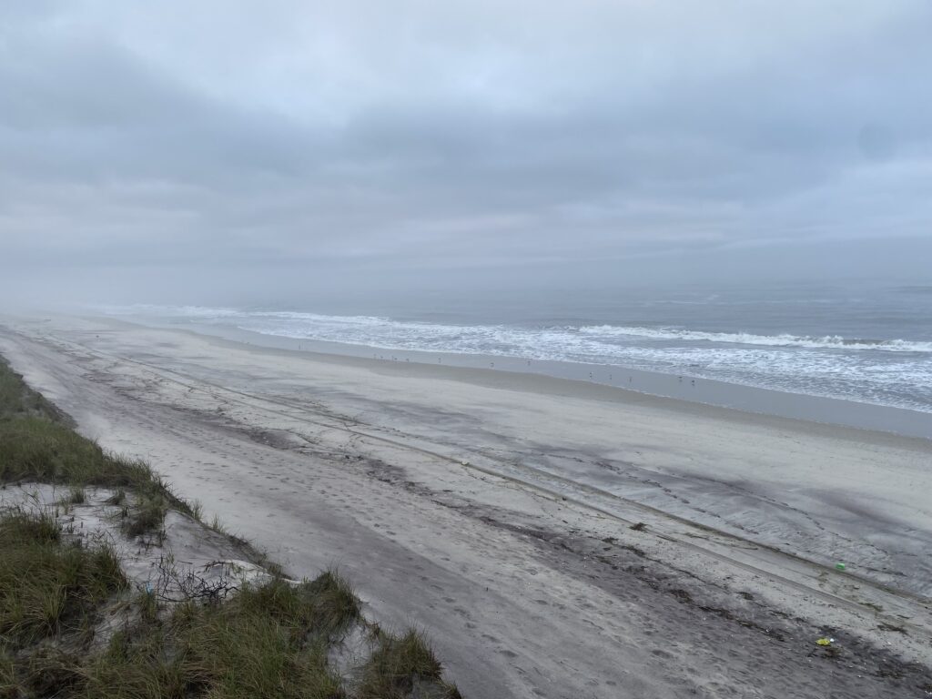 a beach with waves crashing on it (MyCoast AI)