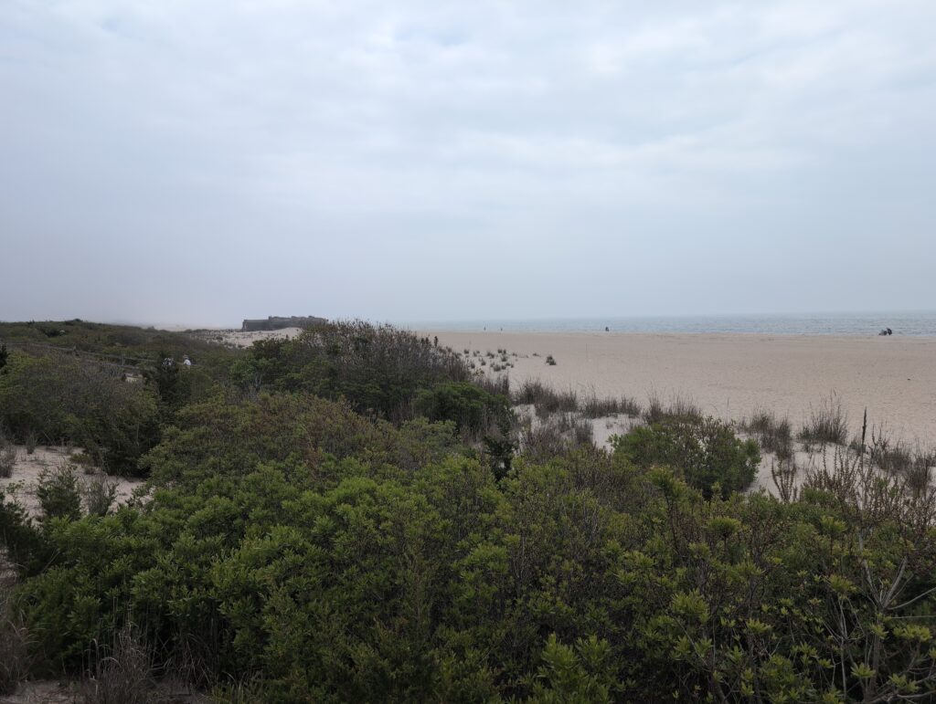 a landscape with trees and bushes (MyCoast AI)