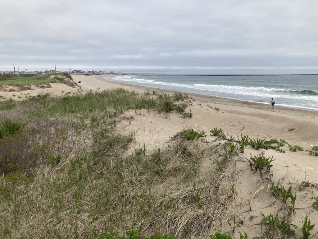 a person walking on a beach (MyCoast AI)