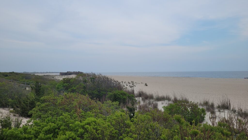 a landscape with trees and a body of water in the background (MyCoast AI)