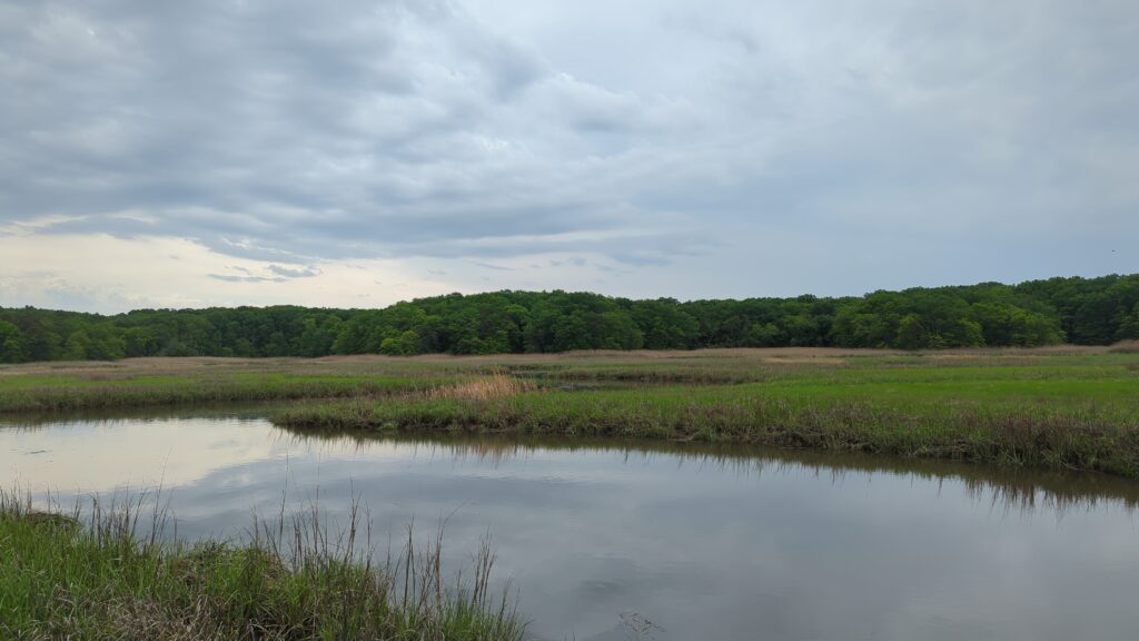 a body of water with grass and trees in the background (MyCoast AI)