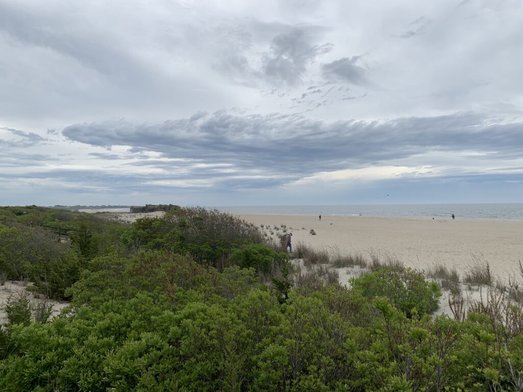 a beach with trees and bushes (MyCoast AI)