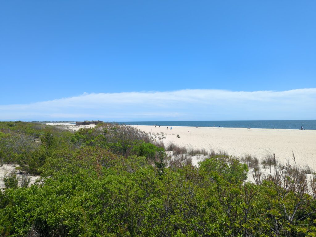 a beach with trees and bushes (MyCoast AI)