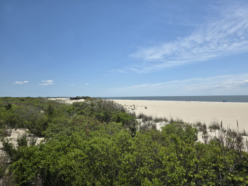 a landscape with trees and blue sky (MyCoast AI)