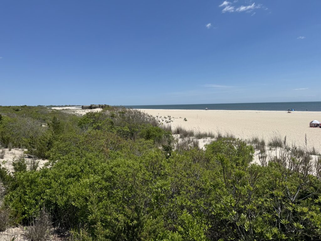 a beach with trees and bushes (MyCoast AI)