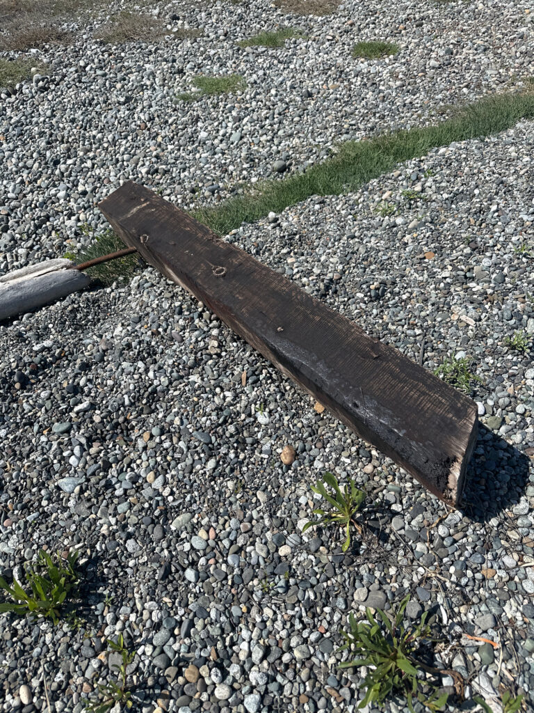 a couple of guns on gravel (MyCoast AI)