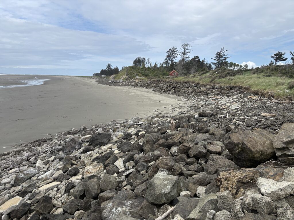 a rocky beach with trees in the background (MyCoast AI)