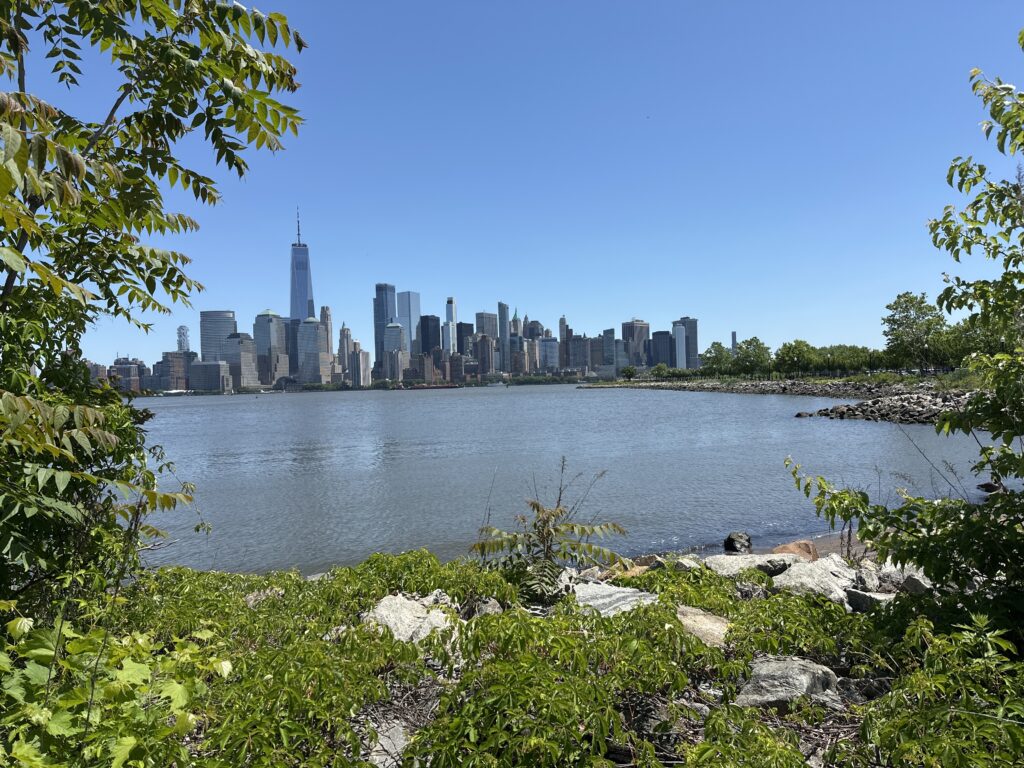 a city skyline across a body of water (MyCoast AI)