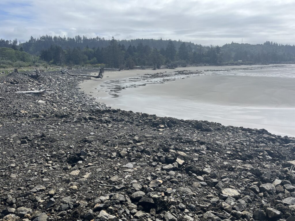 a rocky beach with trees in the background (MyCoast AI)