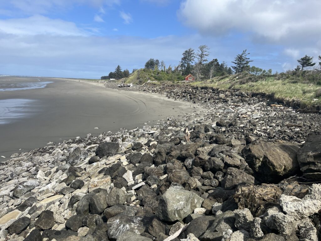 a rocky beach with trees and a body of water (MyCoast AI)