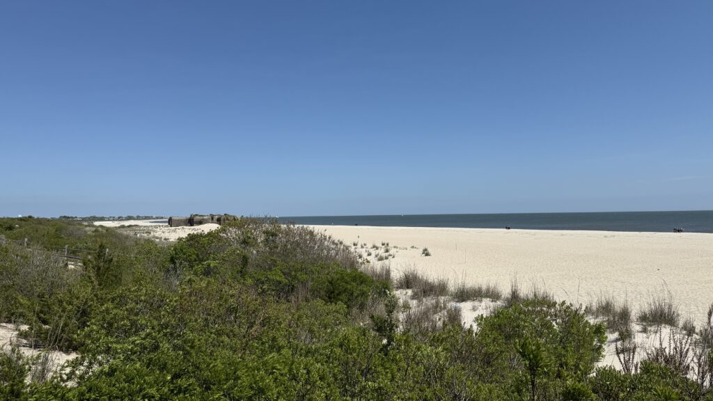 a sandy beach with trees (MyCoast AI)
