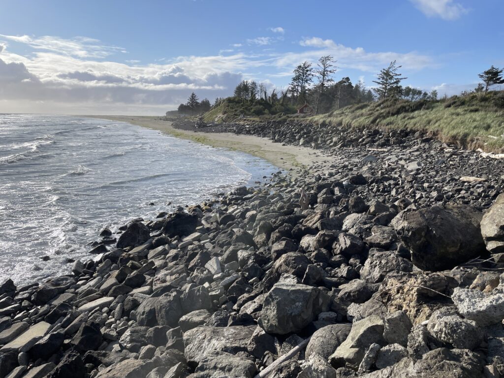 a rocky beach with trees and water (MyCoast AI)