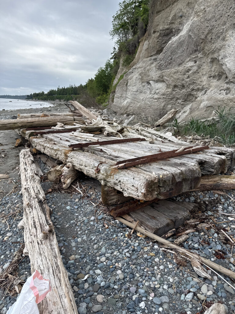 a group of wood planks on a rocky beach (MyCoast AI)