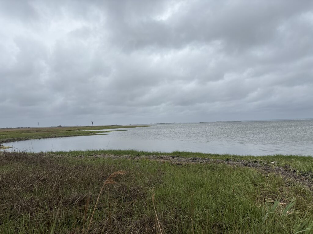 a body of water with grass and a cloudy sky (MyCoast AI)