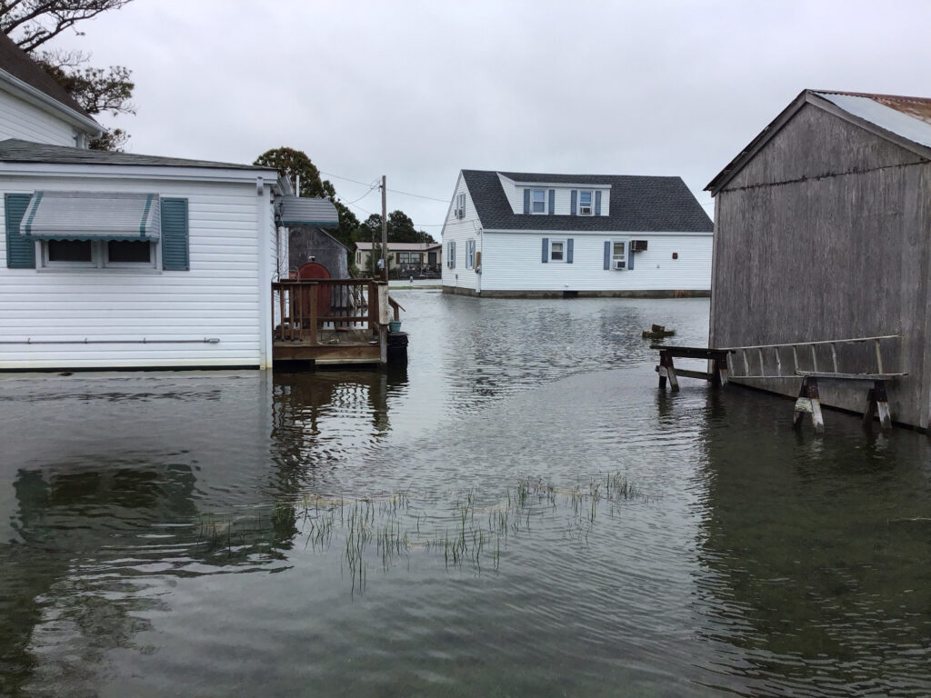 a flooded street with houses (MyCoast AI)