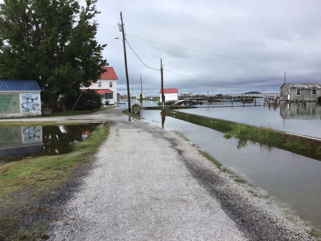 a flooded road with buildings and trees (MyCoast AI)