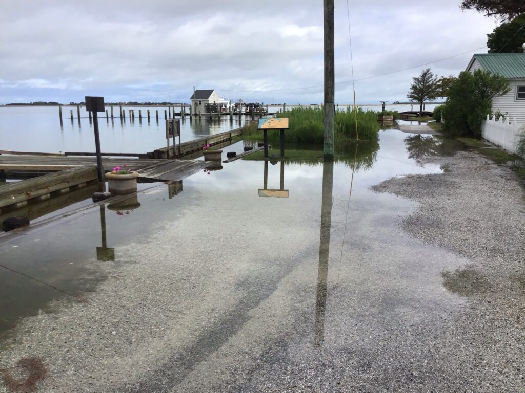 a flooded area with a dock (MyCoast AI)
