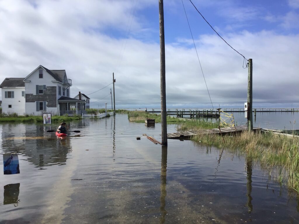 a person in a kayak in a flooded area (MyCoast AI)