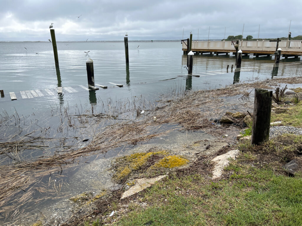 a dock in a body of water (MyCoast AI)
