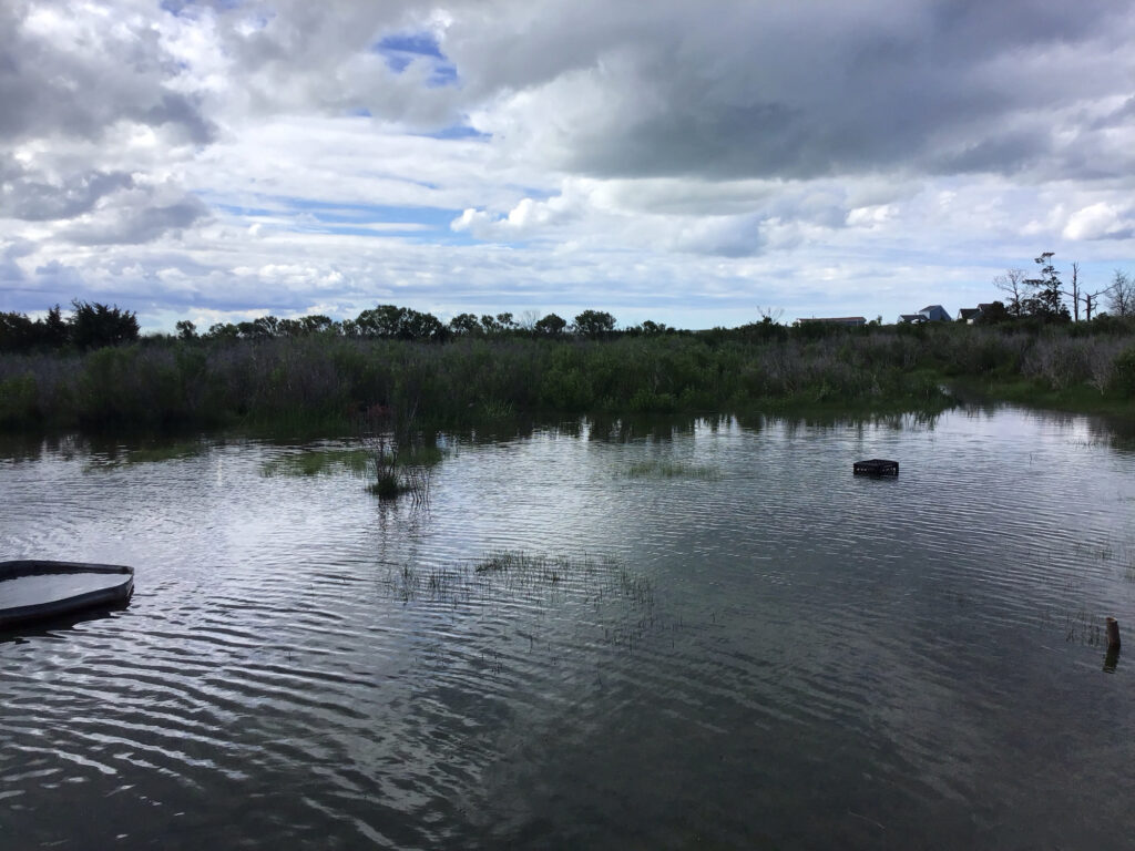 a body of water with trees and clouds in the sky (MyCoast AI)