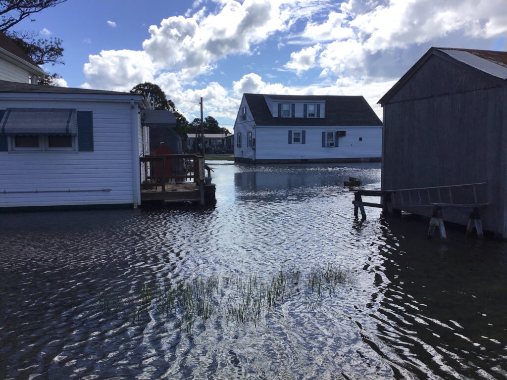 a flooded street with houses (MyCoast AI)