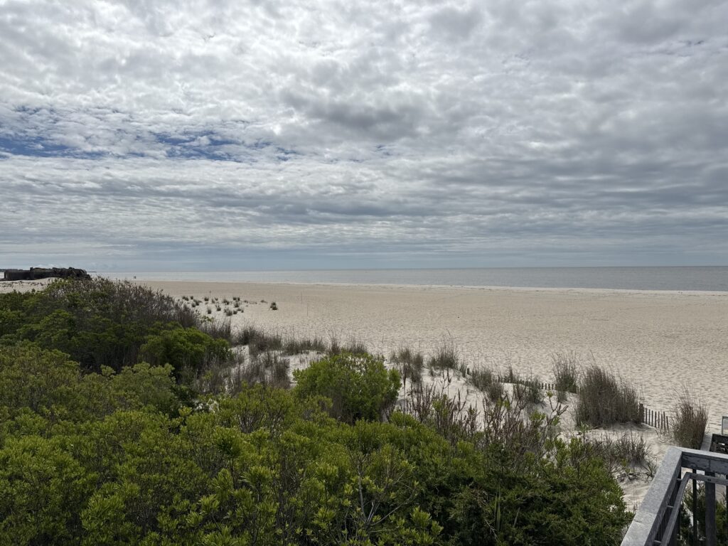 a beach with trees and bushes (MyCoast AI)