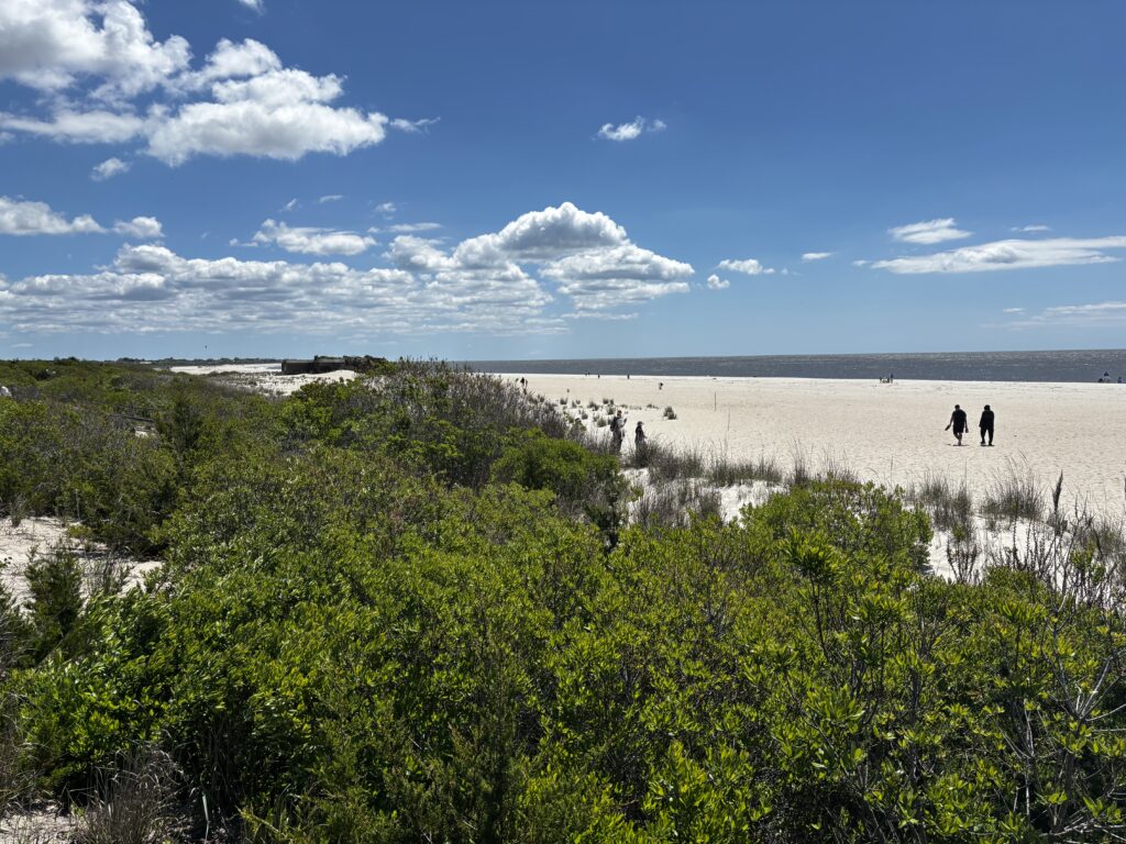a group of people walking on a beach (MyCoast AI)
