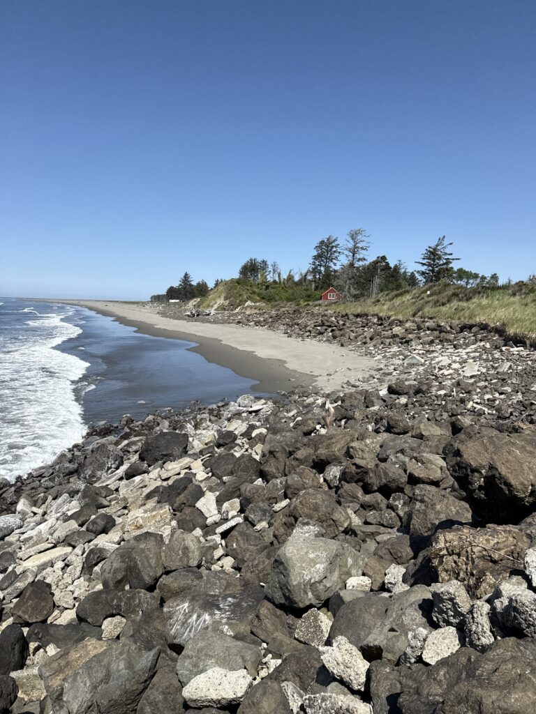 a rocky beach with trees and a body of water (MyCoast AI)
