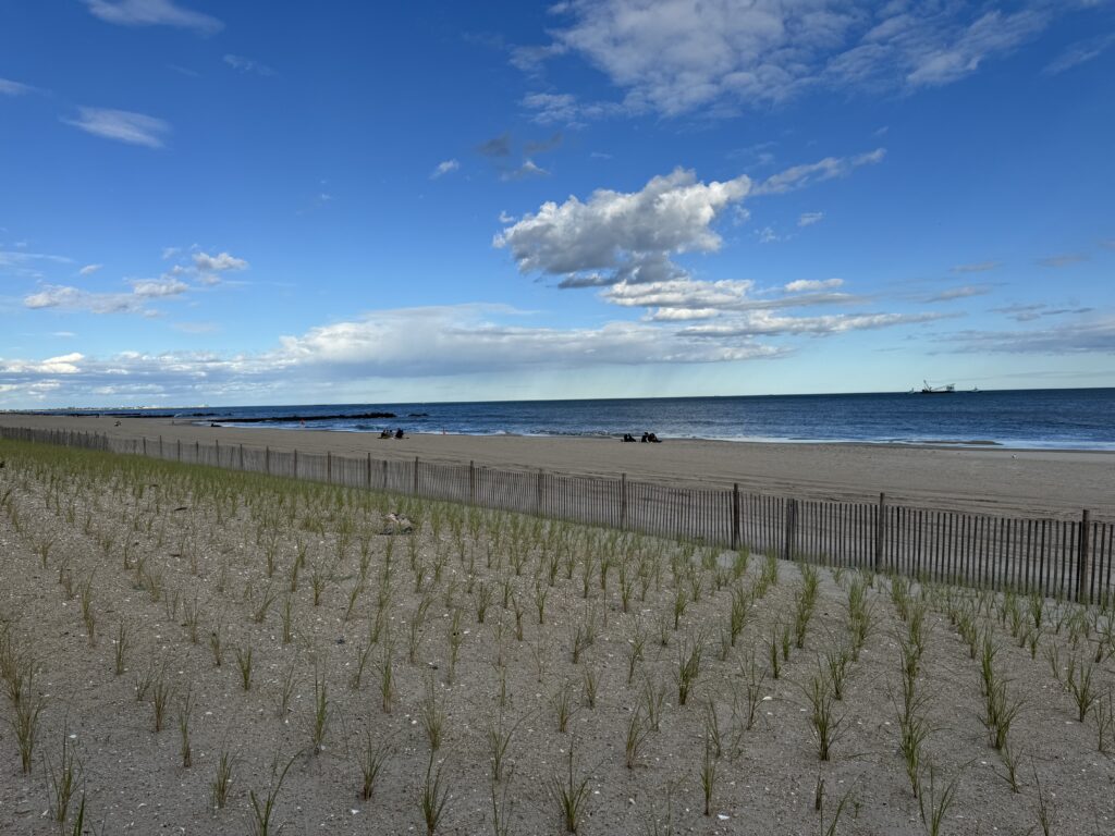 a sandy beach with a fence (MyCoast AI)