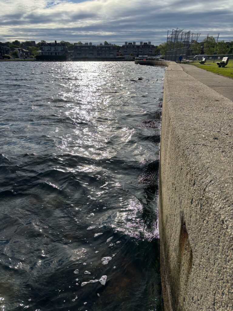 a body of water with a concrete wall and buildings in the background (MyCoast AI)