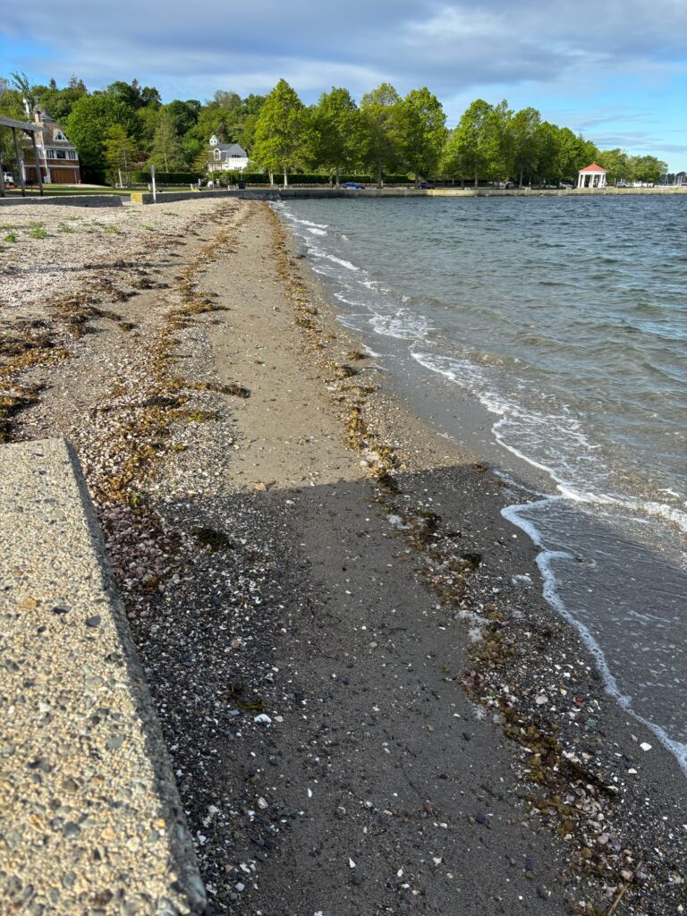 a beach with a body of water (MyCoast AI)