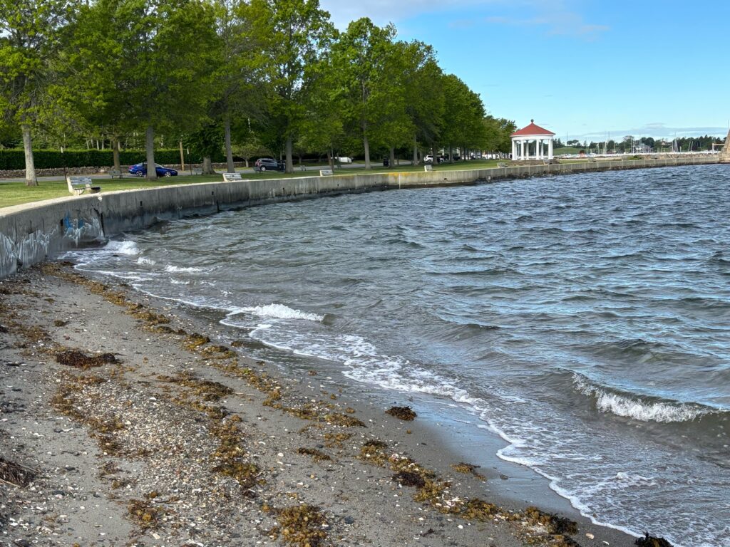 a body of water with a beach and trees around it (MyCoast AI)