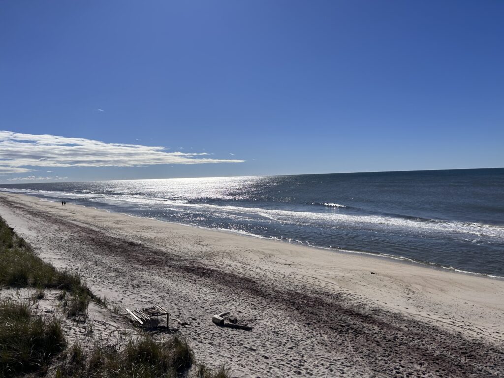 a sandy beach with waves crashing on it (MyCoast AI)