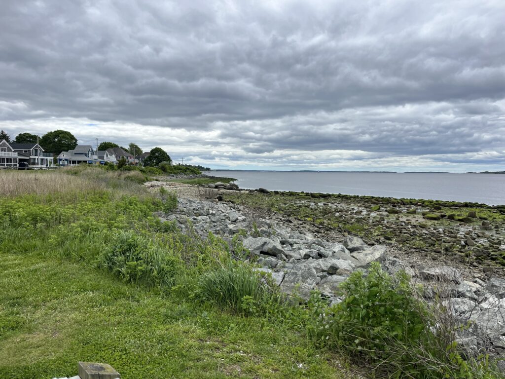 a rocky beach with houses and trees (MyCoast AI)