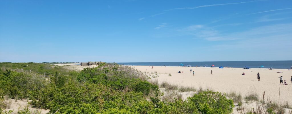 a group of people walking on a beach (MyCoast AI)