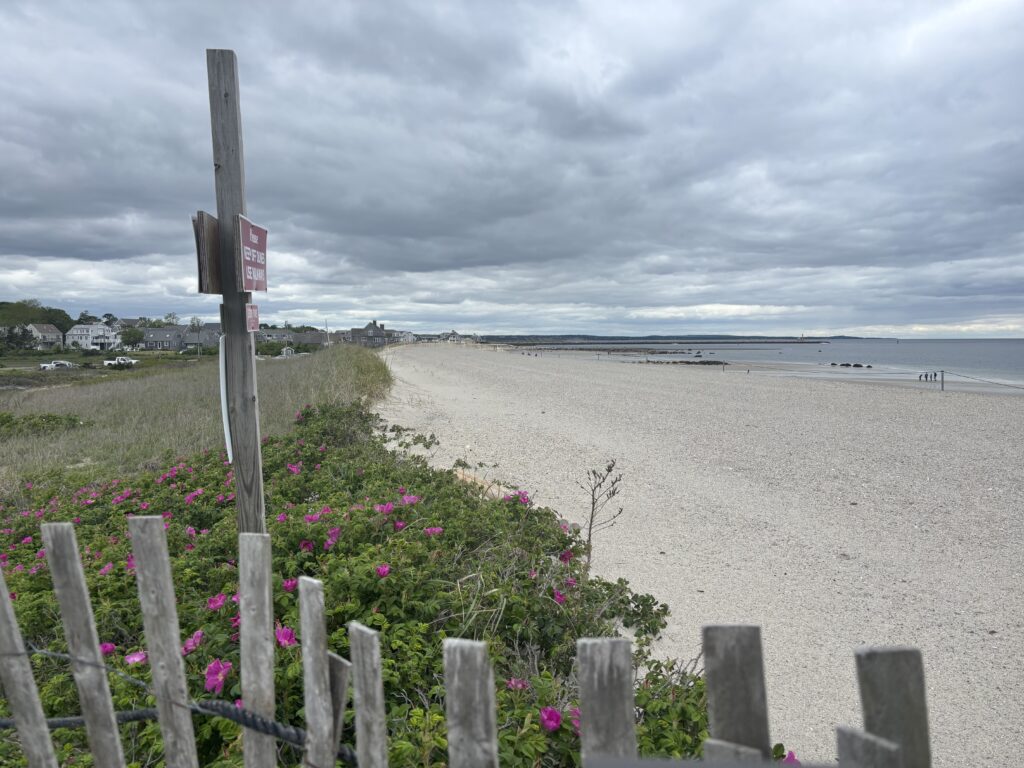 a fence with flowers and a beach in the background (MyCoast AI)