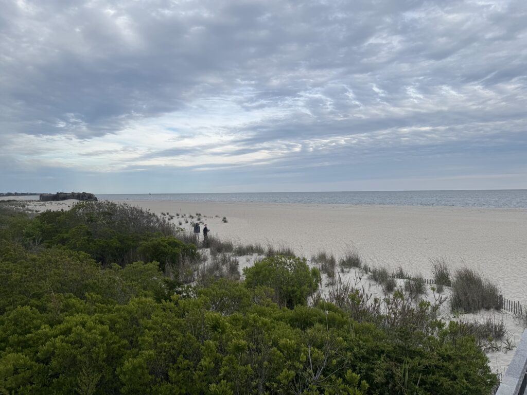 a beach with trees and bushes (MyCoast AI)