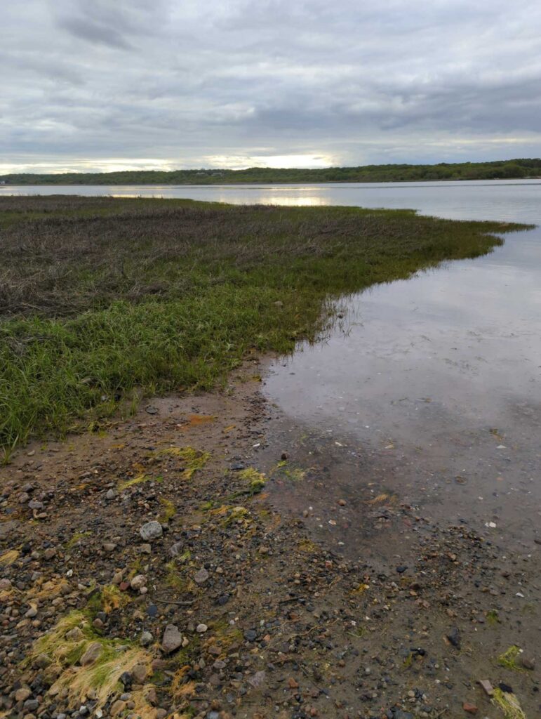 a body of water with grass and rocks around it (MyCoast AI)