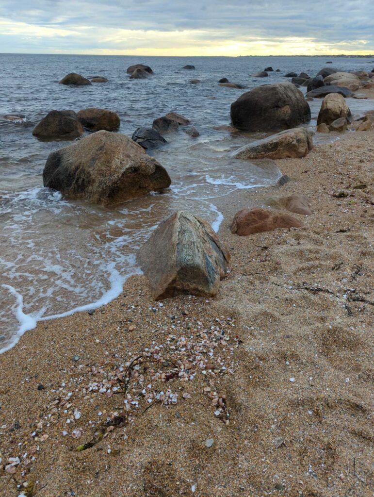a rocky beach with a body of water in the background (MyCoast AI)