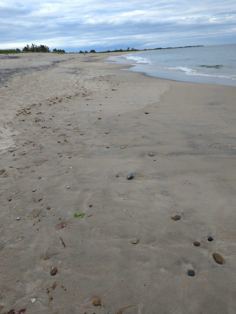 a beach with rocks and water (MyCoast AI)